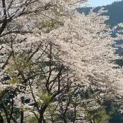 てふてふの画像
