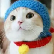 Tama