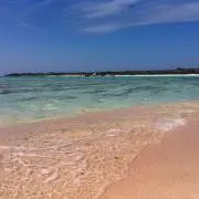 もーぐり