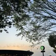 しゅなの画像