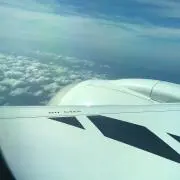 ユウの画像