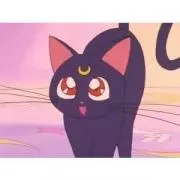 Necoの画像