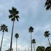 nagi