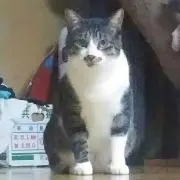 のりタマタマ