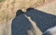 Na-siの画像