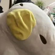 ペンの画像