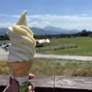 れな　値下げ交渉OKの画像