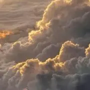 Vの画像