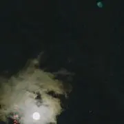 おにく