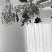 yyの画像