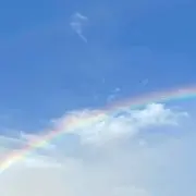 ぴぴ