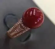 キキククの画像