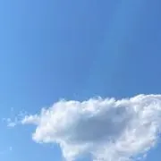 ゆの画像