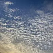 T♡の画像