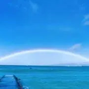 Rocoの画像