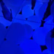 Nanaの画像