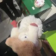 ひんの画像