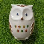 Kikoの画像