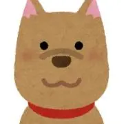 いかするめ