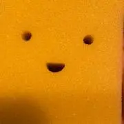 スポンジの画像