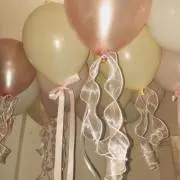 にゃんの画像