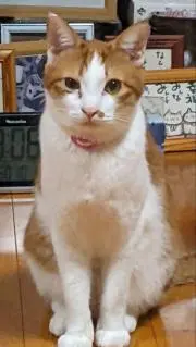 ひろみの画像