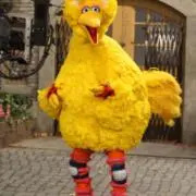 さなえの画像