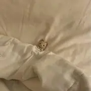 るるの画像