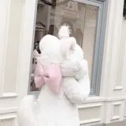 もかの画像