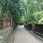 もっくんの画像