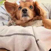 まっちゃんの画像