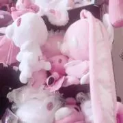 りちゃの画像