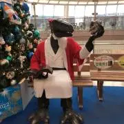 ポンタ