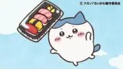 ハチワレの画像