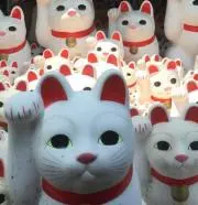ICHIKOの画像