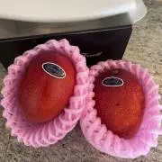 Rinaの画像