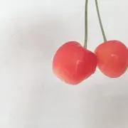まーちゃん⌣̈⃝ ♡ ⌣̈⃝ ♡の画像