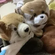 ひまりの画像