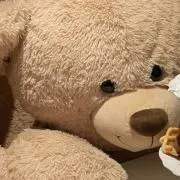 にゃちの画像