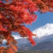 akiの画像