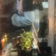 ナコの画像
