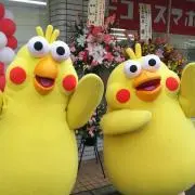 Kazの画像