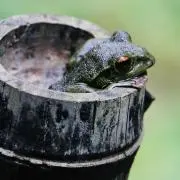 仙風呂の画像