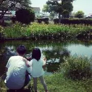クロの画像