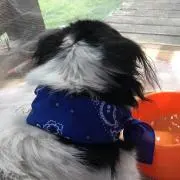 mahoの画像