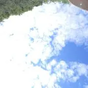 tosazmの画像