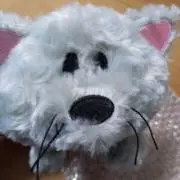 SOUL。よろしくお願いいたします。の画像