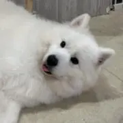 Yumiの画像