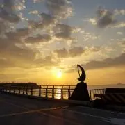 maiの画像