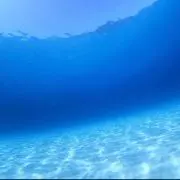 プロフ必読※あお